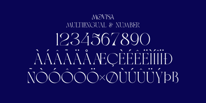 Movisa Font Poster 14