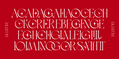 Movisa Font Poster 11