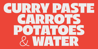 Arlen Font Poster 13