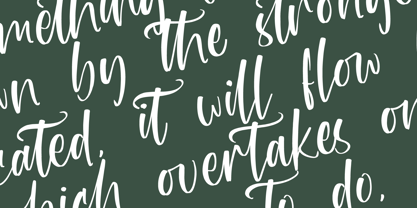 Rhythm Darling Font Poster 12