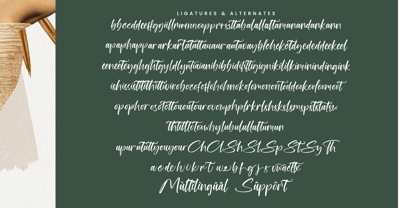 Rhythm Darling Font Poster 14