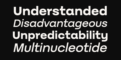 Batica Sans Font Poster 3