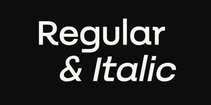 Batica Sans Font Poster 5