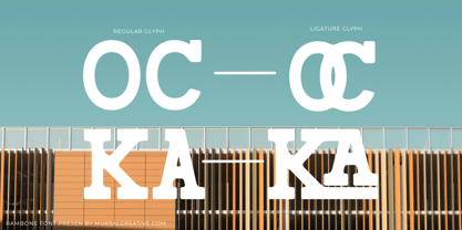 Rambone Font Poster 8