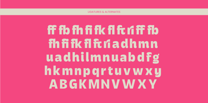 Hungin Font Poster 14