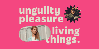 Hungin Font Poster 8