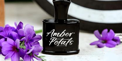 Althena Juliette Font Poster 9