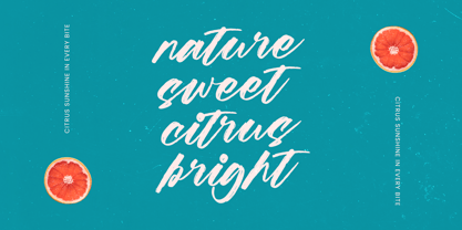 Beachit Font Poster 9