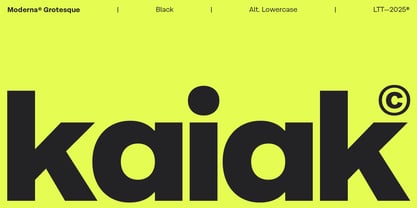 Moderna Grotesque Font Poster 3