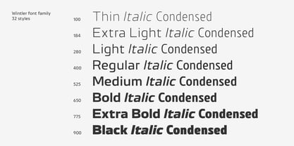 Wintler Font Poster 12