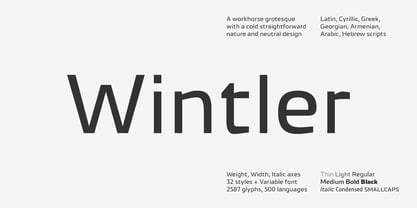 Wintler Font Poster 1
