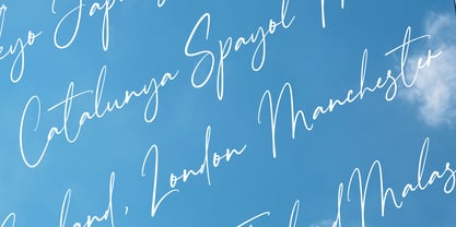 Tropical Sunshine Signature Font Poster 3
