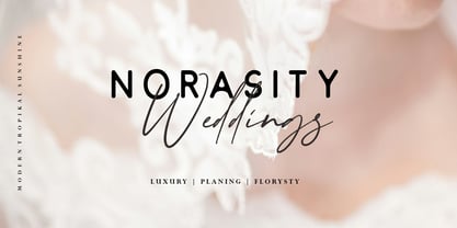 Tropical Sunshine Signature Font Poster 5