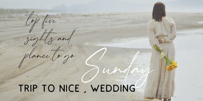 Tropical Sunshine Signature Font Poster 7