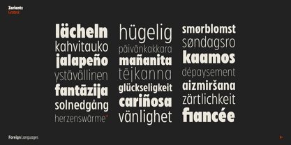 Zariantz Grotesk Font Poster 10