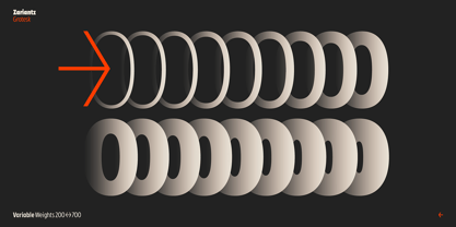 Zariantz Grotesk Font Poster 5