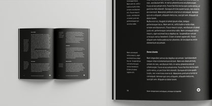 Zariantz Grotesk Font Poster 12