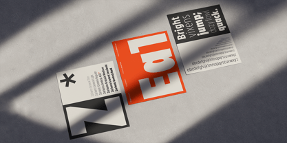 Zariantz Grotesk Font Poster 9