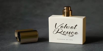 Racheli Claudia Font Poster 3