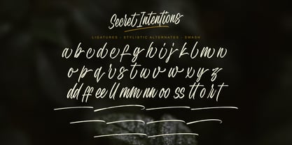 Secret Intentions Font Poster 8