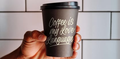 Secret Intentions Font Poster 6