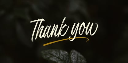 Secret Intentions Font Poster 10