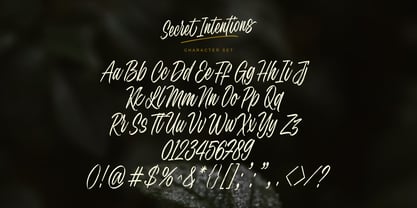 Secret Intentions Font Poster 7