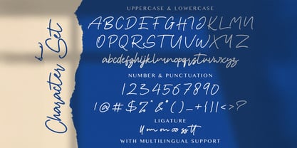 Hany Petter Font Poster 6