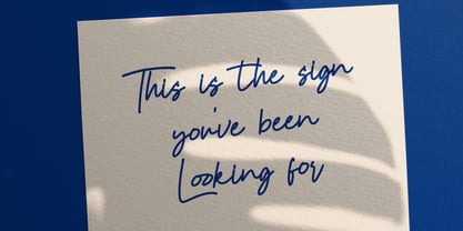 Hany Petter Font Poster 4