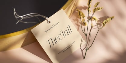 The Letter Editorial Font Poster 15