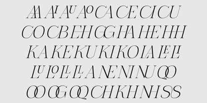 The Letter Editorial Font Poster 13