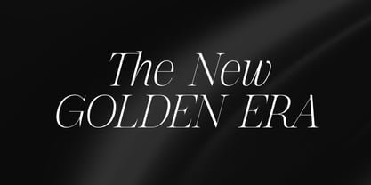 The Letter Editorial Font Poster 14