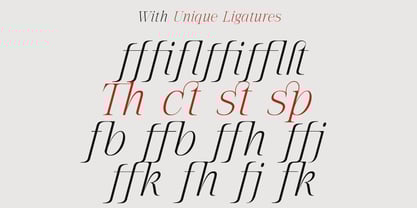 The Letter Editorial Font Poster 12