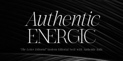 The Letter Editorial Font Poster 3