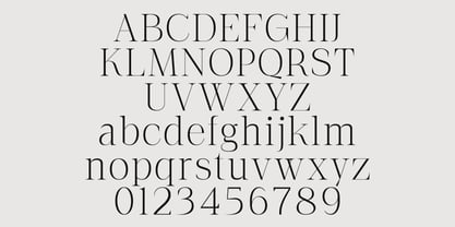 The Letter Editorial Font Poster 9