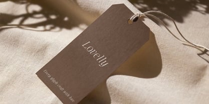 The Letter Editorial Font Poster 5