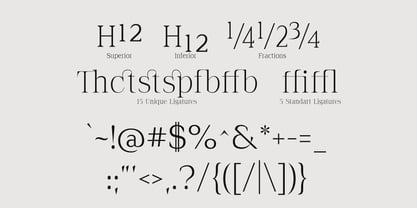 The Letter Editorial Font Poster 10