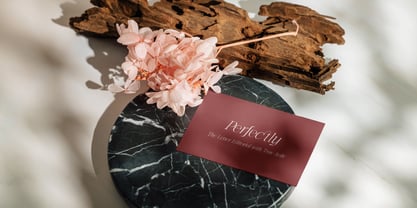 The Letter Editorial Font Poster 4