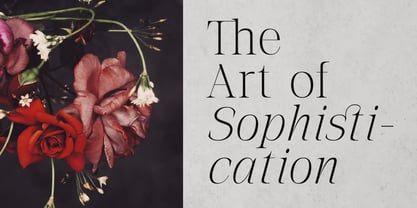 The Letter Editorial Font Poster 6