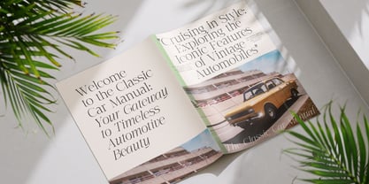 The Letter Editorial Font Poster 8