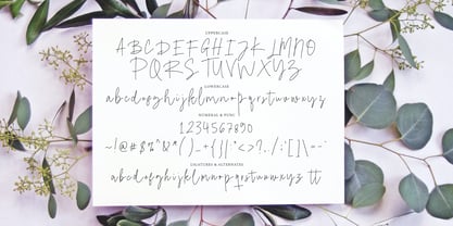 Repaiso Signature Font Poster 6