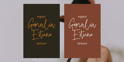 Repaiso Signature Font Poster 2