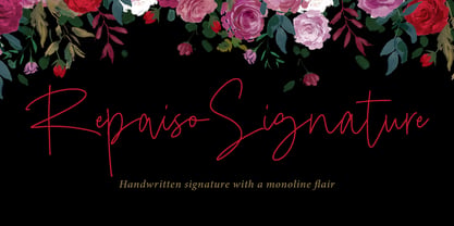 Repaiso Signature Font Poster 1