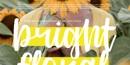 Aprils Joyful Font Poster 5