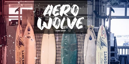 Fany Brush Font Poster 5