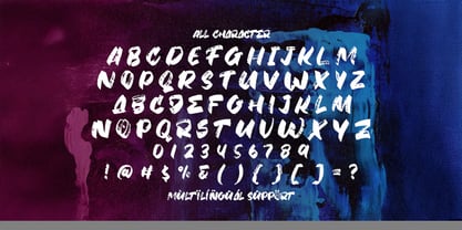 Fany Brush Font Poster 8