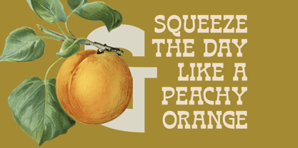 Bring Horse Font Poster 13