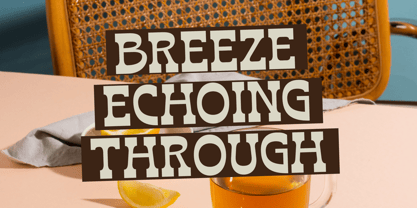 Bring Horse Font Poster 2