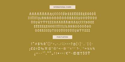 Bring Horse Font Poster 15