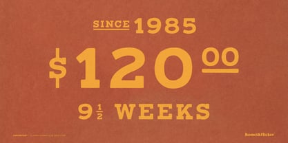 Canyon Sun Font Poster 8